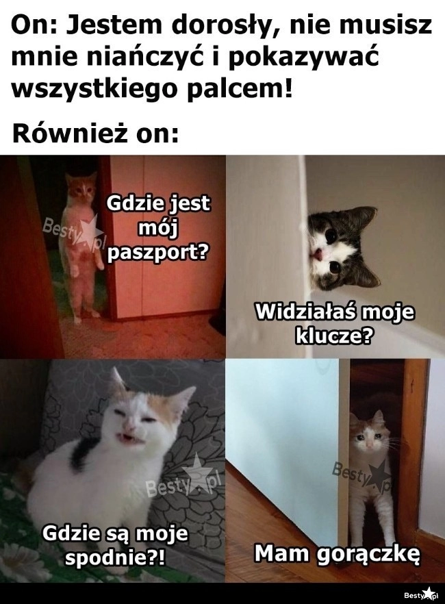 
    Gdzie są moje gacie? 