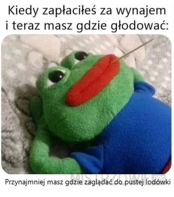 
    Gdy zapłaciłeś za wynajem