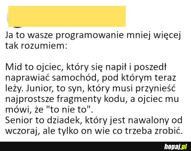 
    Programiści