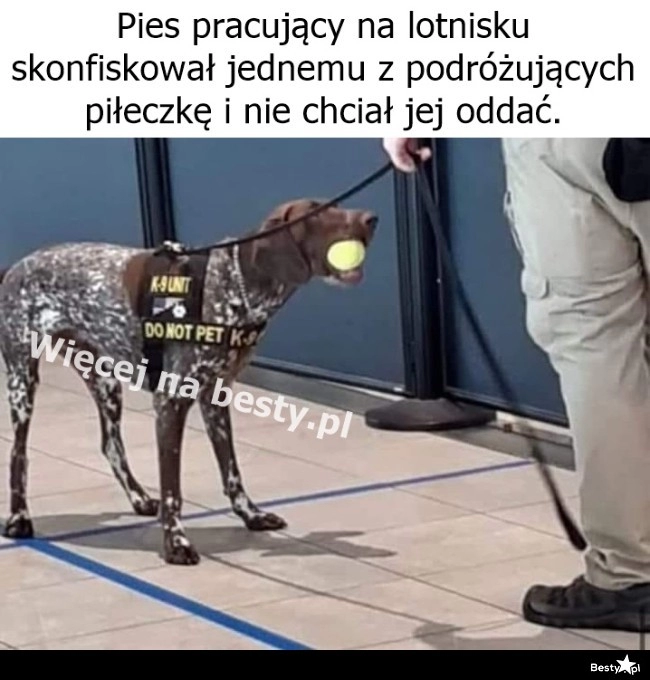 
    Na mocy prawa konfiskuję tę piłeczkę 