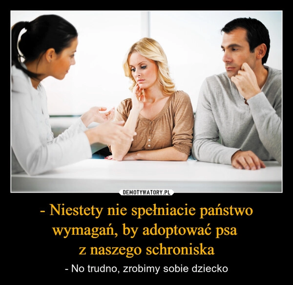 
    - Niestety nie spełniacie państwo wymagań, by adoptować psa 
z naszego schroniska