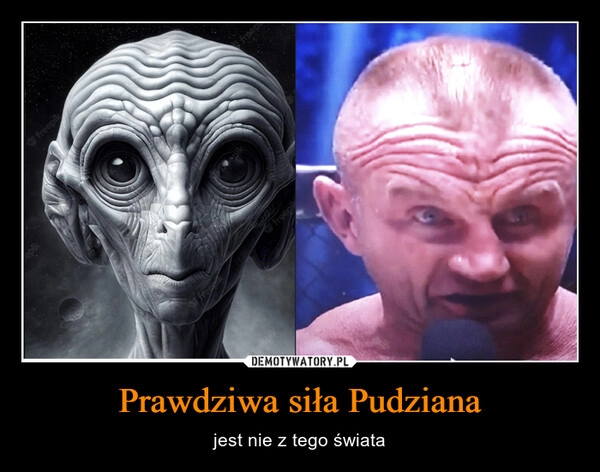 
    
Prawdziwa siła Pudziana 