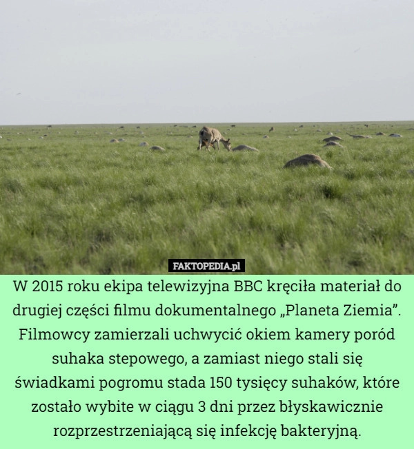 
    W 2015 roku ekipa telewizyjna BBC kręciła materiał do drugiej części filmu