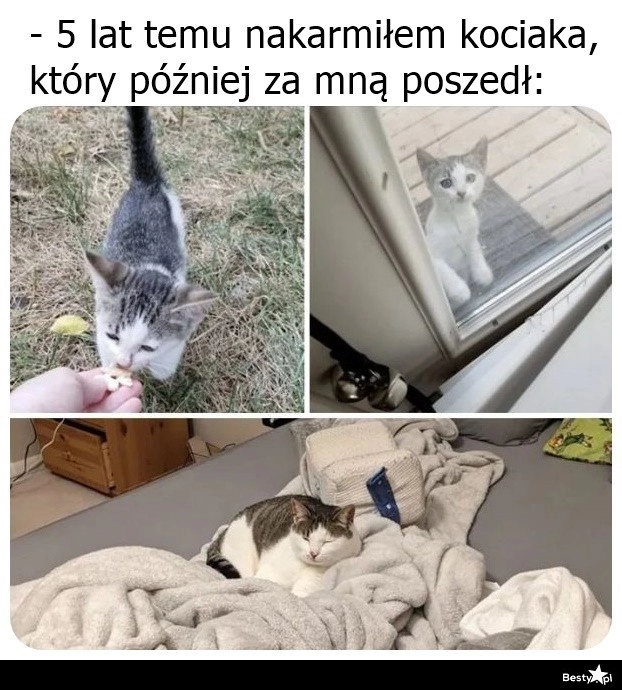 
    Dostał kochający domek 