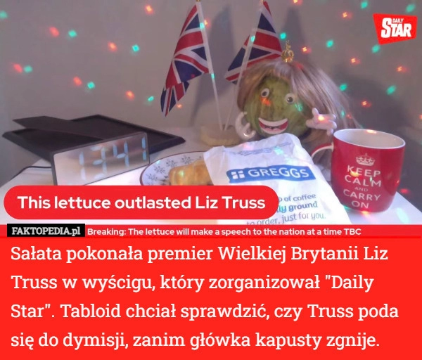 
    
			Sałata pokonała premier Wielkiej Brytanii Liz Truss w wyścigu, który zorganizował					