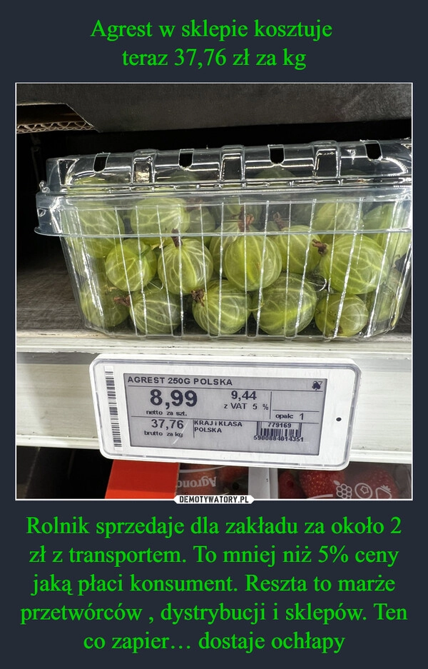 
    Agrest w sklepie kosztuje 
teraz 37,76 zł za kg Rolnik sprzedaje dla zakładu za około 2 zł z transportem. To mniej niż 5% ceny jaką płaci konsument. Reszta to marże przetwórców , dystrybucji i sklepów. Ten co zapier… dostaje ochłapy