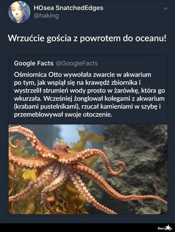 
    Ewidentnie mu się nie podoba 