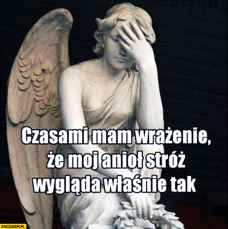 
    Czasami mam wrażenie że mój anioł stróż wygląda właśnie tak facepalm