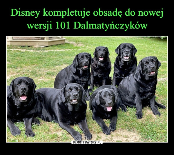 
    Disney kompletuje obsadę do nowej wersji 101 Dalmatyńczyków