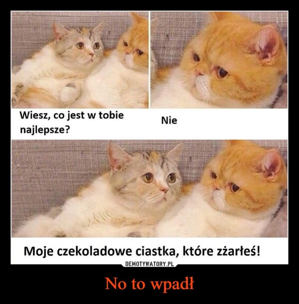 
    No to wpadł
