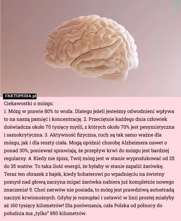 
    Ciekawostki o mózgu: 
1. Mózg w prawie 80% to woda. Dlatego jeżeli jesteśmy