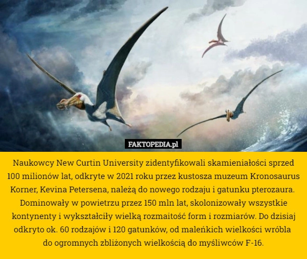 
    Naukowcy New Curtin University zidentyfikowali skamieniałości sprzed 100