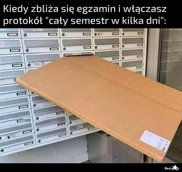 
    Cały semestr w kilka dni 