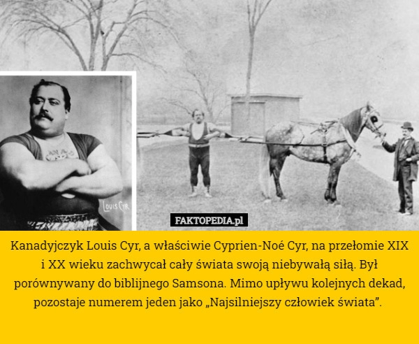 
    Kanadyjczyk Louis Cyr, a właściwie Cyprien-Noé Cyr, na przełomie XIX i XX