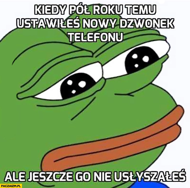 
    Kiedy pół roku temu ustawiłeś nowy dzwonek telefonu ale jeszcze go nie usłyszałeś smutna żaba