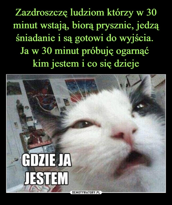 
    Zazdroszczę ludziom którzy w 30 minut wstają, biorą prysznic, jedzą śniadanie i są gotowi do wyjścia. 
Ja w 30 minut próbuję ogarnąć 
kim jestem i co się dzieje