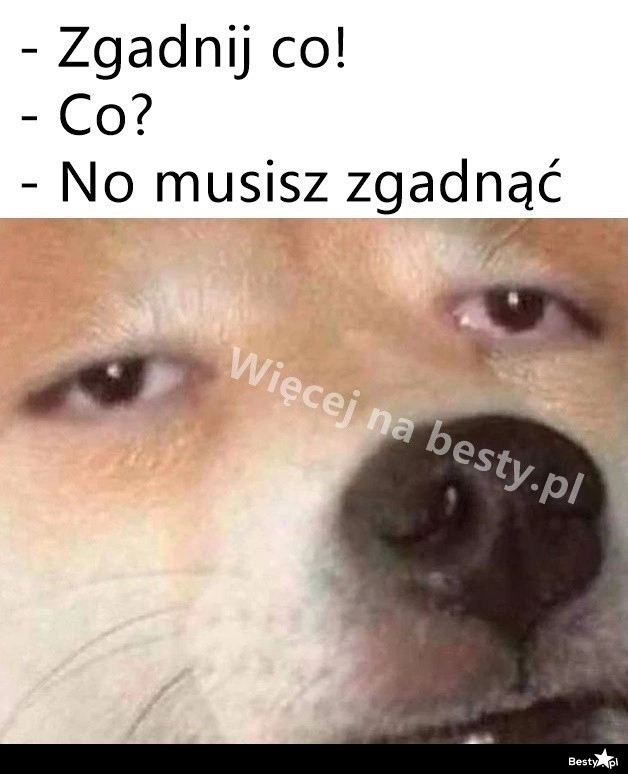 
    Naprawdę muszę? 