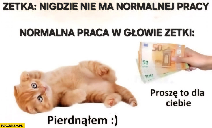 
    Zetka nigdzie nie ma normalnej pracy, tymczasem normalna praca w głowie zetki: pierdnąłem, proszę to pieniądze dla ciebie