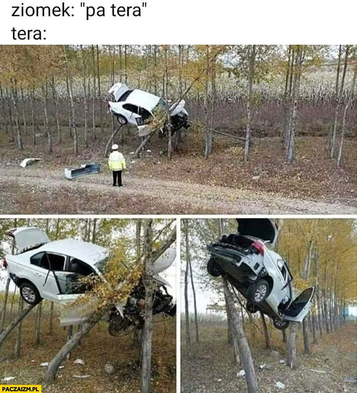 
    Ziomek pa tera auto na drzewie