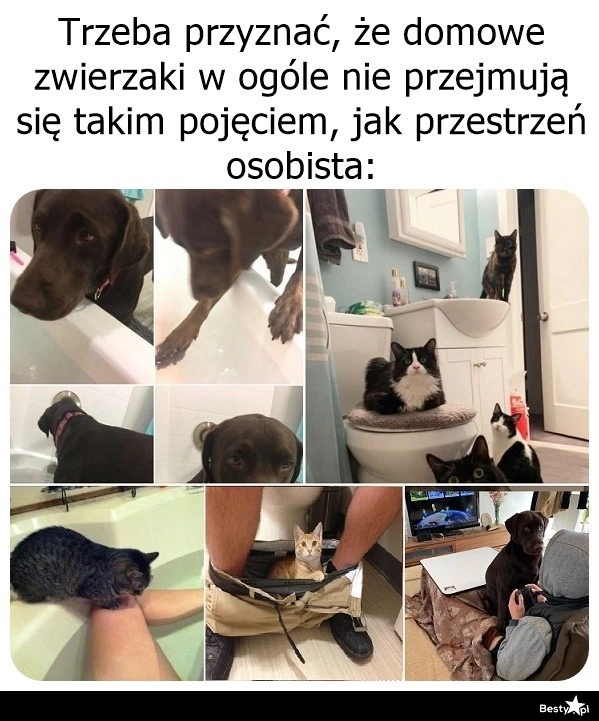 
    Zapomnij o prywatności 