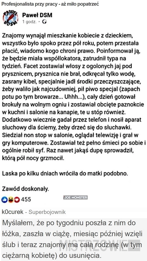 
    Profesjonalista przy pracy - aż miło popatrzeć