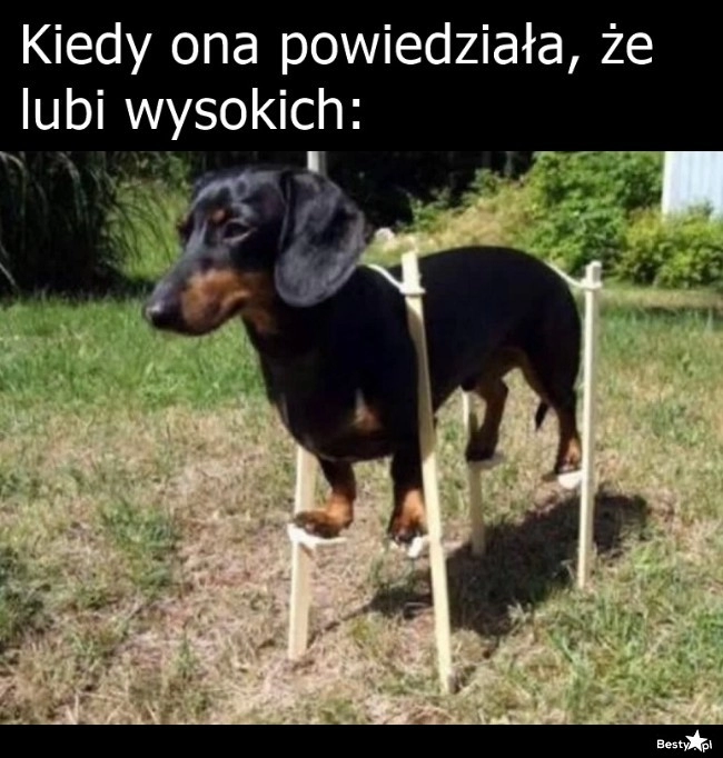 
    To powinno zwiększyć szanse 