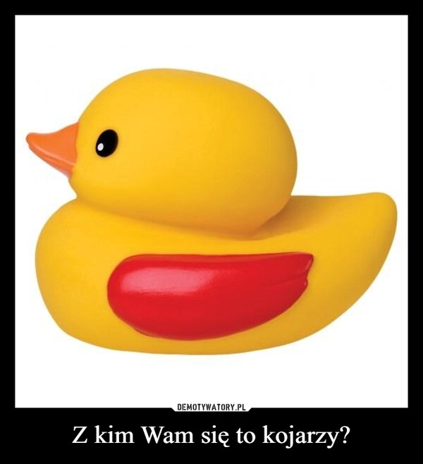 
    Z kim Wam się to kojarzy?