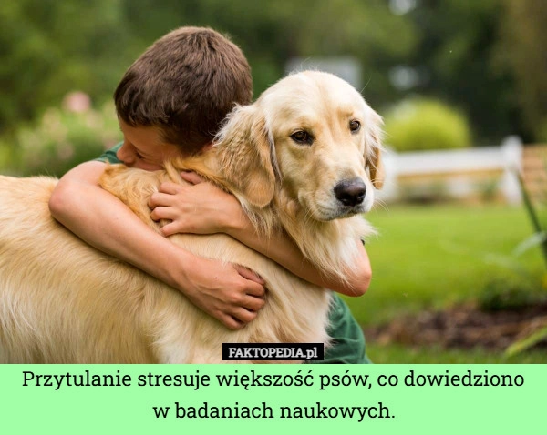
    Przytulanie stresuje większość psów, co dowiedziono w badaniach naukowych.