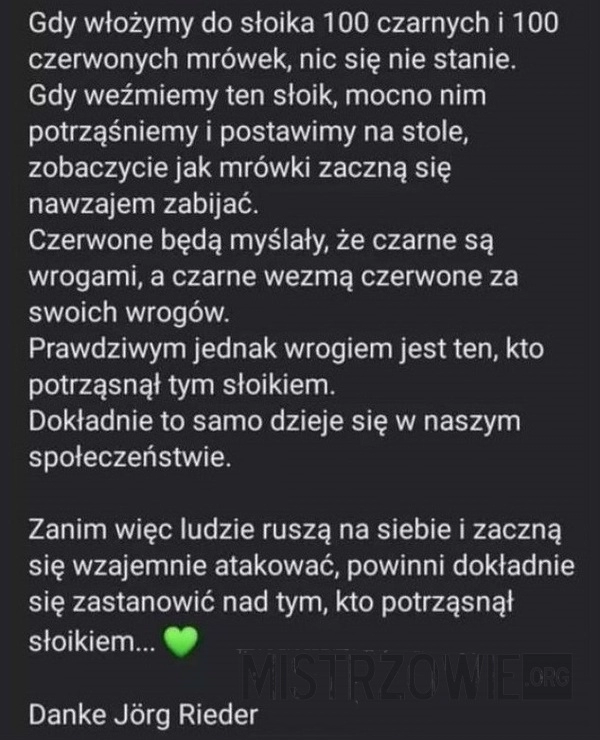 
    Mrówki w słoiku