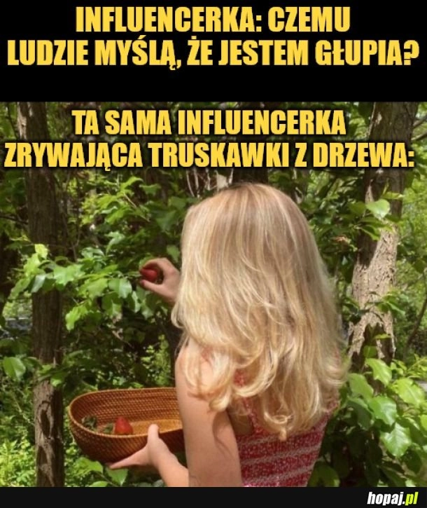 
    Truskawka. 