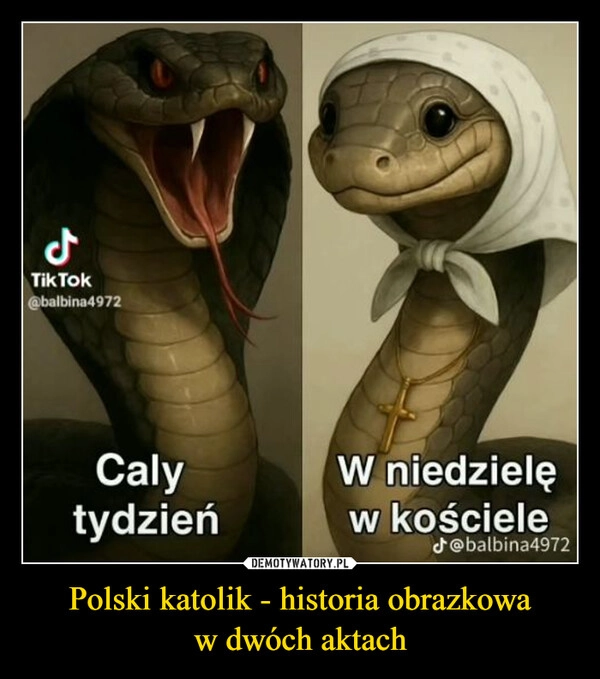 
    Polski katolik - historia obrazkowa w dwóch aktach