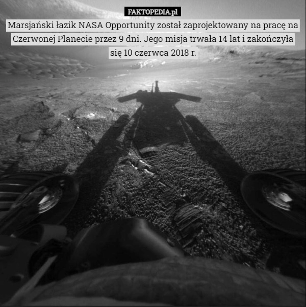 
    Marsjański łazik NASA Opportunity został zaprojektowany na pracę na Czerwonej