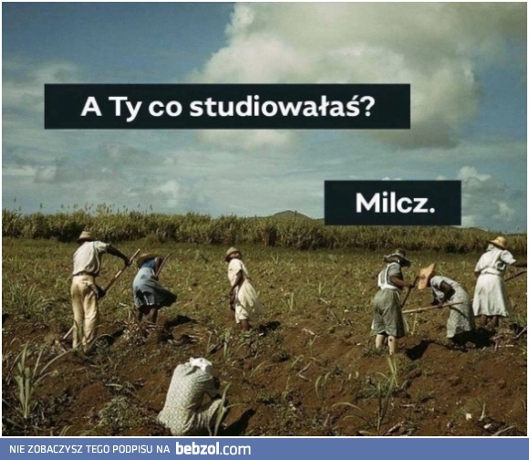 
    Po studiach