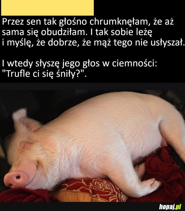 
    Kiedy myślisz, że mąż nie słyszał