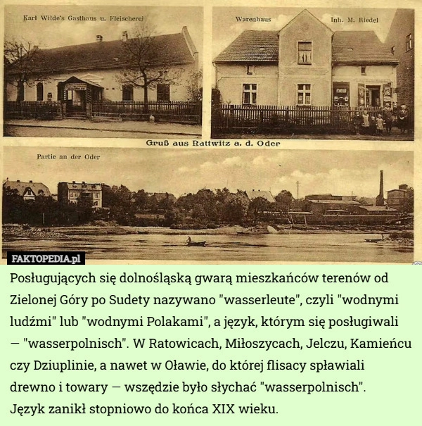 
    Posługujących się dolnośląską gwarą mieszkańców terenów od Zielonej Góry...