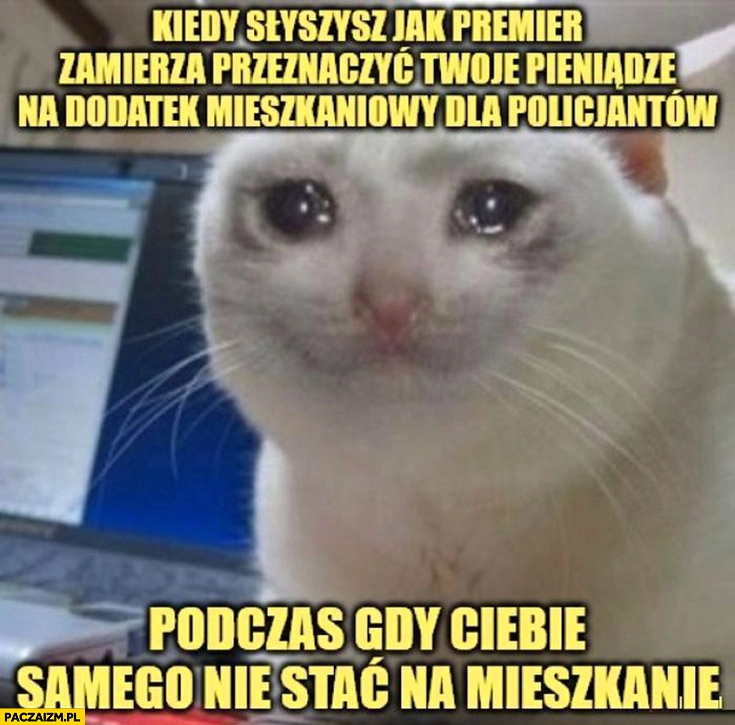 
    Kot kotek kiedy słyszysz jak premier zamierza przeznaczyć Twoje pieniądze na dodatek mieszkaniowy dla policjantów a ciebie nie stać na mieszkanie