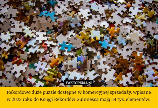 
    Rekordowo duże puzzle dostępne w komercyjnej sprzedaży, wpisane
 w 2023