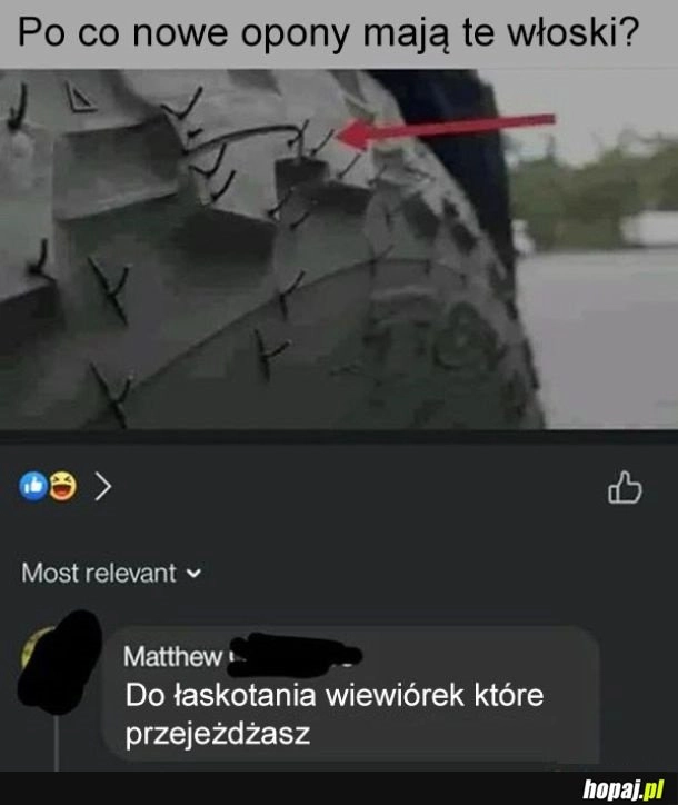 
    Włoski na oponach