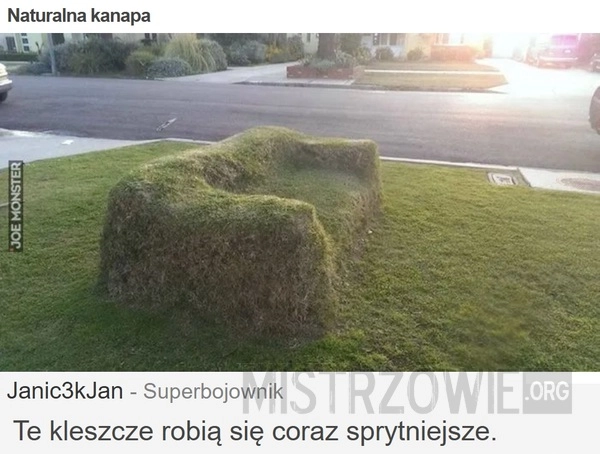 
    Naturalna kanapa
