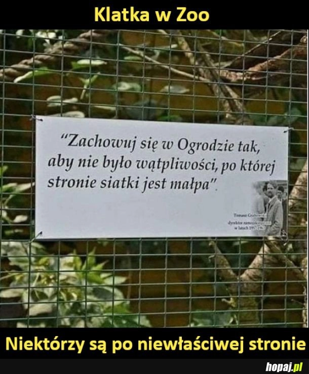 
    Klatka w zoo