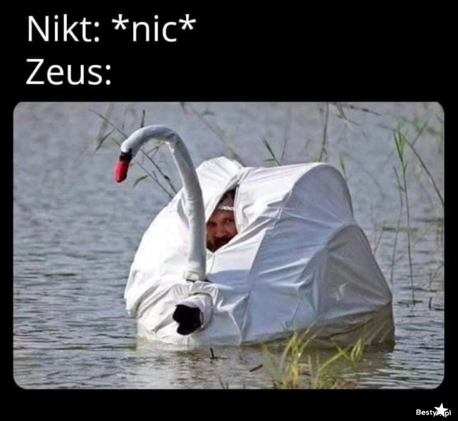 
    Zeus 