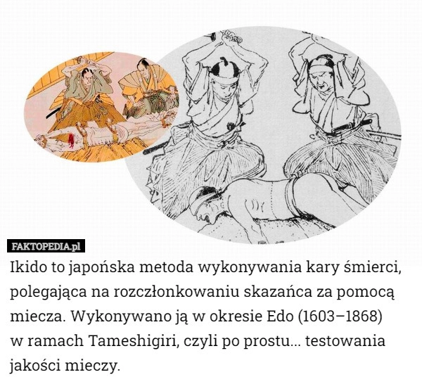 
    Ikido to japońska metoda wykonywania kary śmierci, polegająca na rozczłonkowaniu...