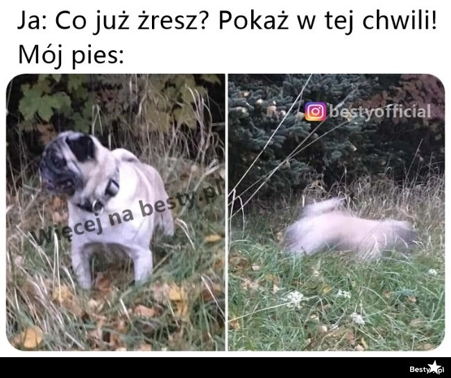 
    Czas na zabawę w berka 