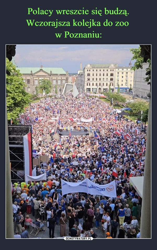 
    Polacy wreszcie się budzą. Wczorajsza kolejka do zoo 
w Poznaniu: