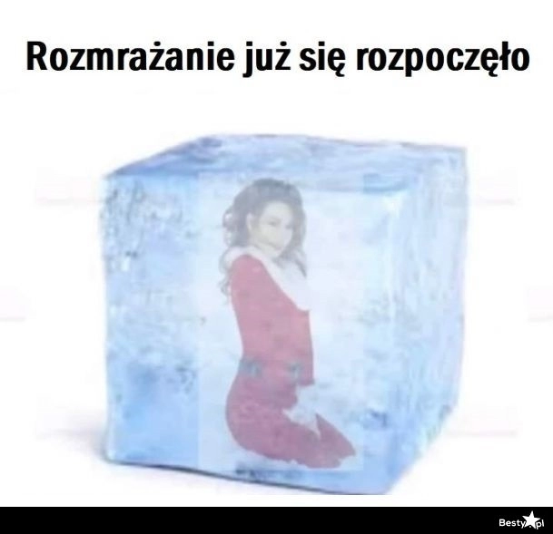 
    Rozmrażanie 