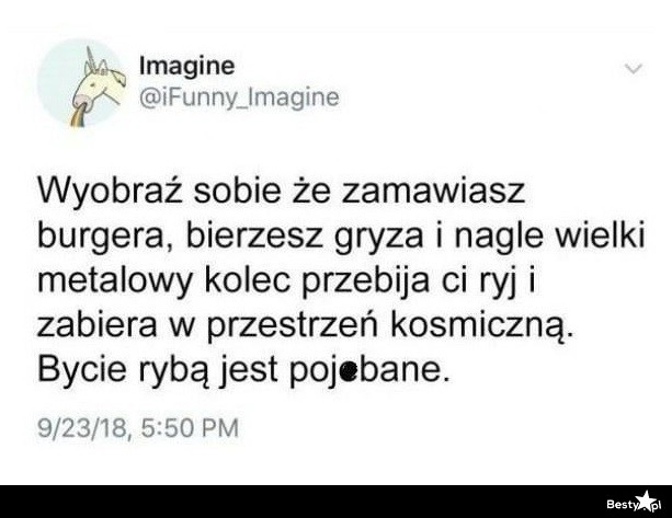 
    Wyobraź sobie... 