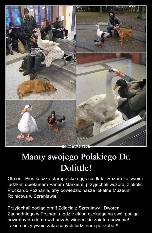 
    Mamy swojego Polskiego Dr. Dolittle!