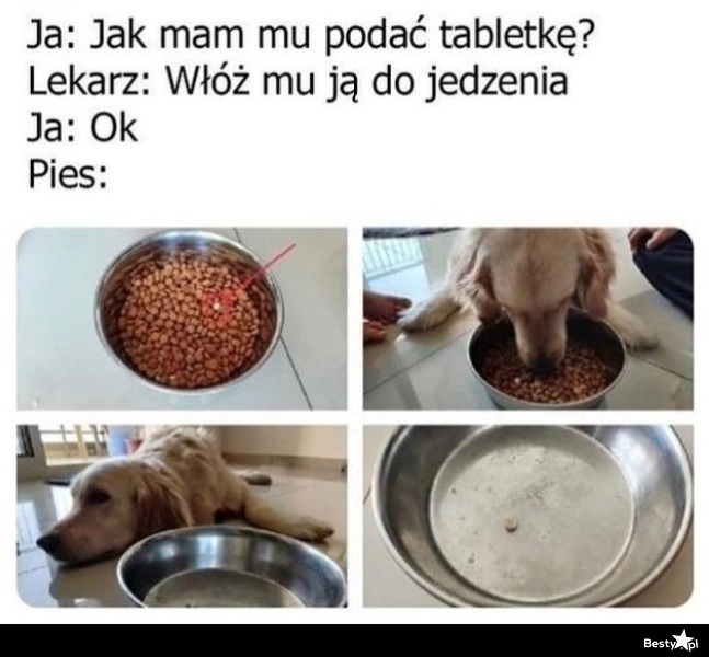 
    Nie z pieskiem takie numery 