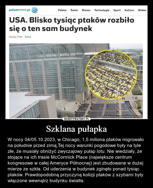 
    Szklana pułapka