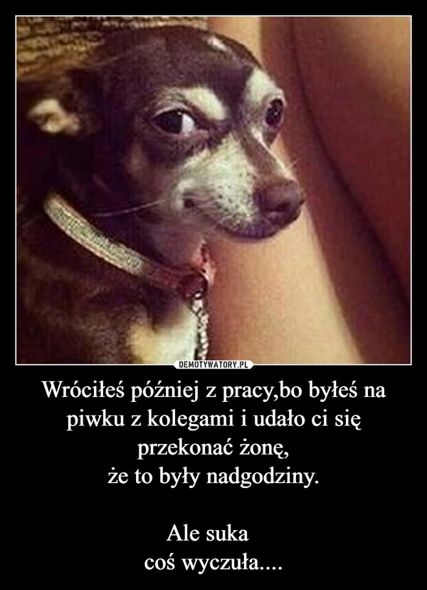 
    Wróciłeś później z pracy,bo byłeś na piwku z kolegami i udało ci się przekonać żonę,
że to były nadgodziny.

Ale suka  
coś wyczuła....